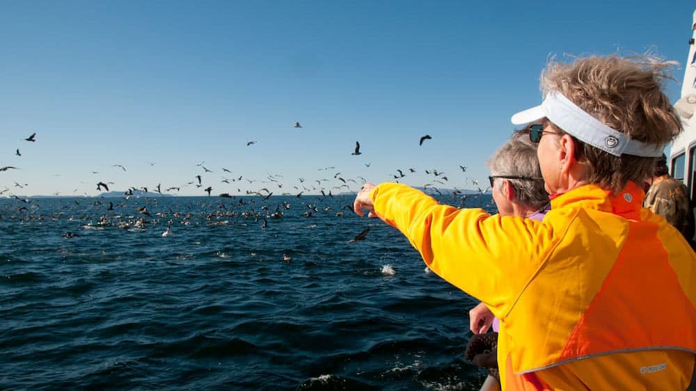 Two women looking at birds flying away from the surface of the ocean