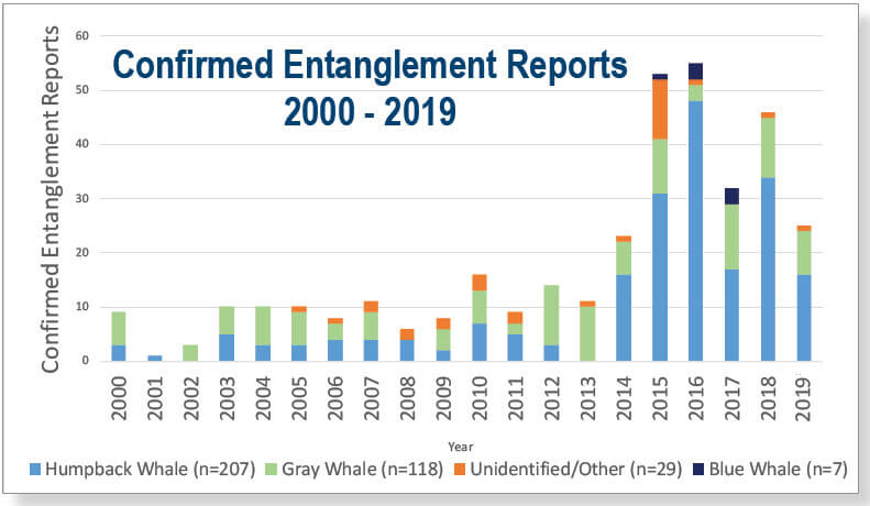 a chart showing whale entenglement stats