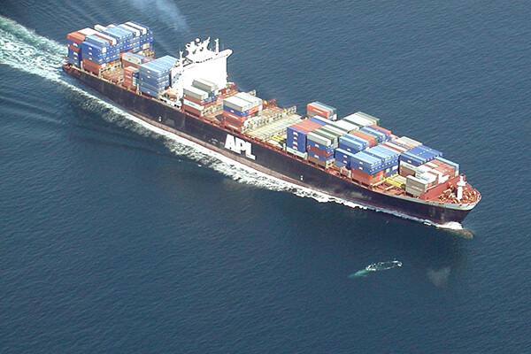 Aerial view of a container ship passing by a whale