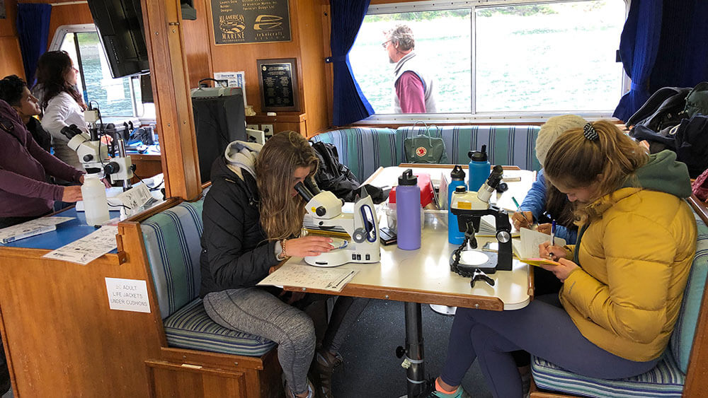 students observe samples under microscopes while sitting in the cabin of the research vessel