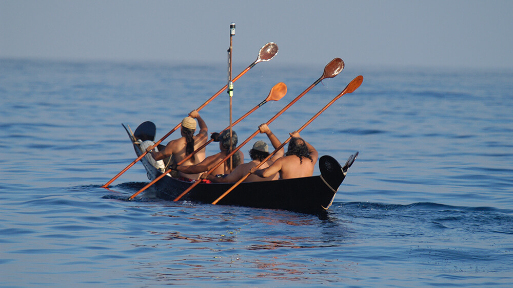 people paddle a tomol