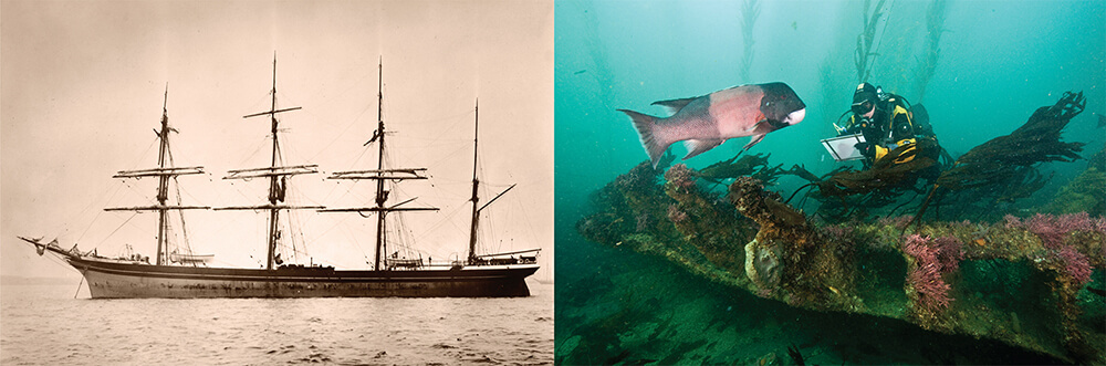 left: a black and white photo of a ship with 4 masts; right: a diver diagrams a shipwreck