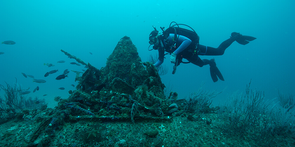 A diver examines the wreck of an aircraft