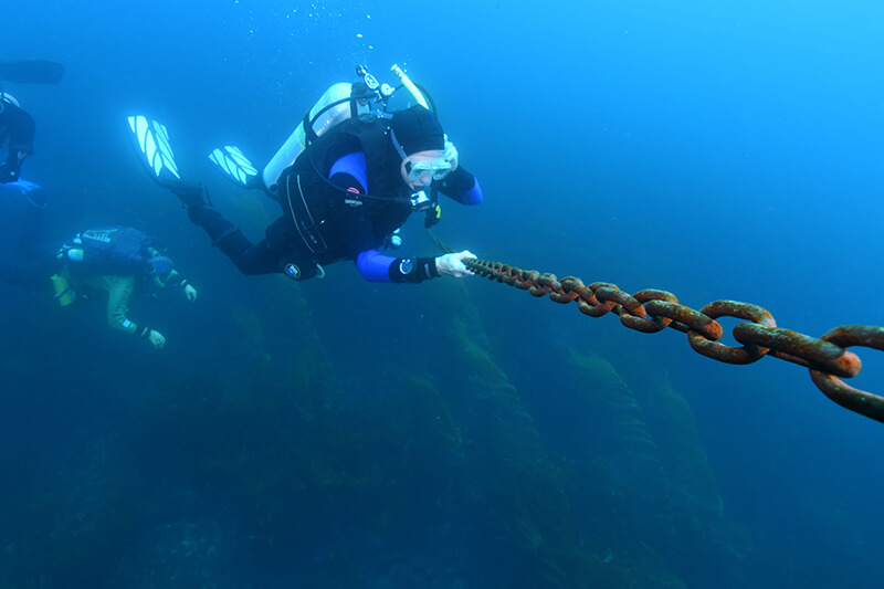 A diver grabs onto a chain