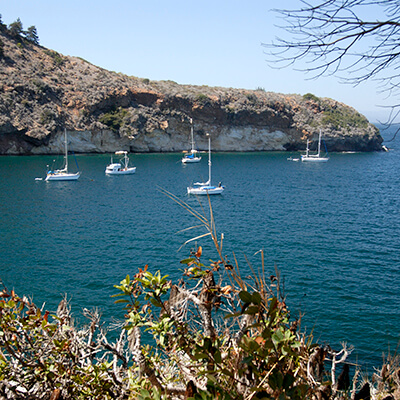Boats in Pelican Bay